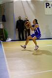 Basket C321024